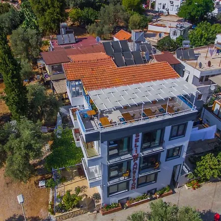 Selim * Kaş
