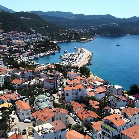 Selim Kaş