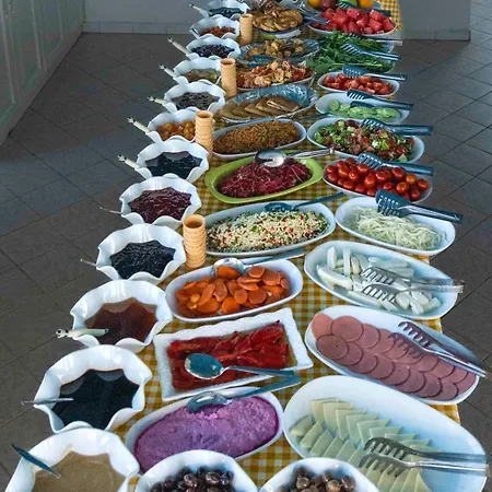 Selim فندق كاس